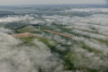 Windmills in fog - Picardy France