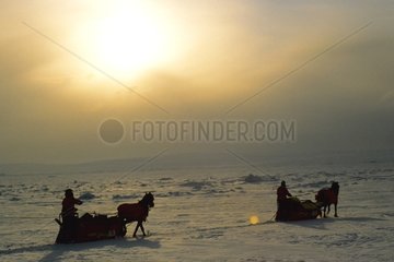 Polar Horse Expedition an der Insel Cornwallis in Cornwallis