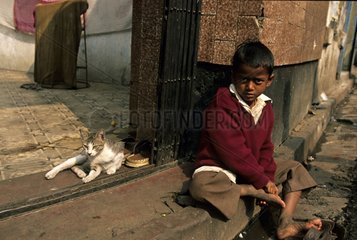 Cat lying down in the street near a boy Calcutta India