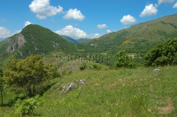 Pré dans les Pyrénées en Ariège