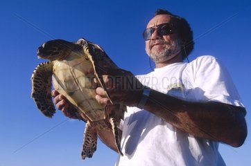 Ile Alphonse  tortue marine