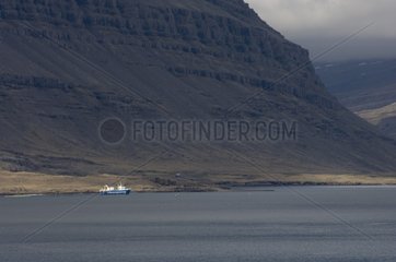 Hamarsfjordur fjord South coast Iceland