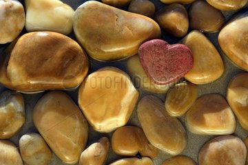 Boulder red heart-shaped stones among the yellow