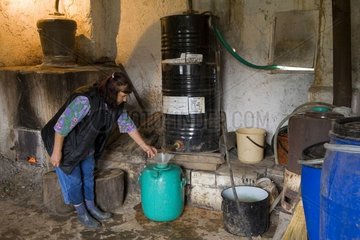Bulgarian woman distilling fruit alcohol in a still