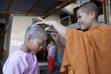 Nun doing shaved at the convent of Nyaung Shwe Burma