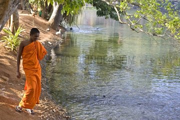 Buddhistischer Mönch Waterfront Kandy Sri Lanka