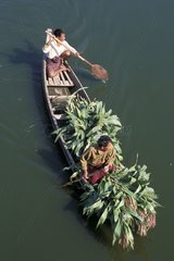 Transport des Bootes der BlÃ¤tter Burma