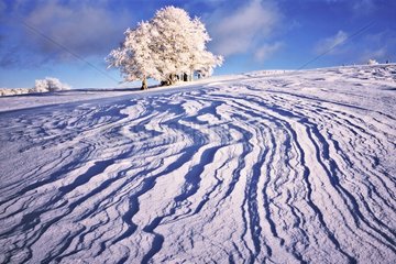 Snow sculpted by wind on the plateau of Retord France