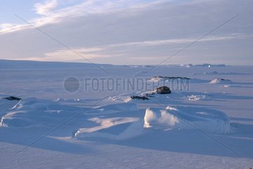 Eislandschaftslandschaft Adélie Antarktis