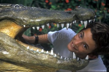 Kind im Mund eines eingebürgerten Krokodils Frankreich