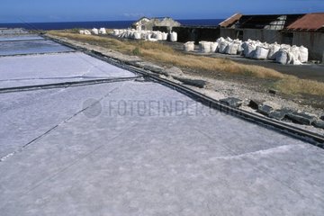 Abandoned saltworks of the 'Point of salt' in autumn Reunion