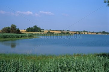 Pond of Parroy France