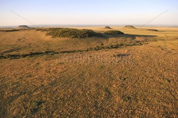 Aerial view of landscape in the Masai Mara NR Kenya