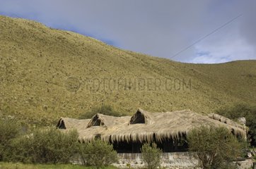 VÃ©gÃ©taliezd -Dach eines Herbergen in den Bergen von Ecuador
