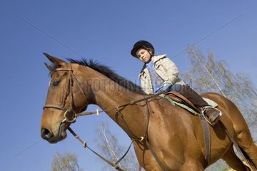 Junger Fahrer auf einem Selle Français Horse Frankreich