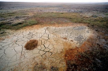 Drought in Arctic Bathurst island Canada