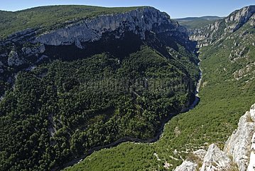 Verdon Gorges in the Alpes de Haute Provence France