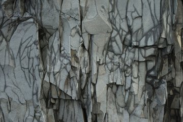 Basalt columns - Reynisdrangar Vik Iceland