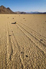 Moving rock Racetrack Playa in Death Valley NP USA