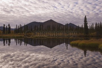 Reflection of Ogilvie Mountains in small lake Northern Yukon