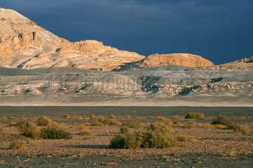 WÃ¼ste von Atacama in Chile