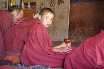 Young monk during the morning prayer Karsha Zanskar India