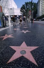 Los Angeles  la célèbre Walk of Fame
