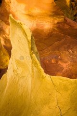 Ochre of Luberon - Provence France