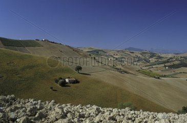 Agricultural landscape close to Montefiore dell' Aso in September