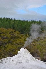 Geyser activity - Wai-O-Tapu New Zealand