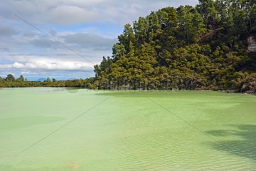 Geothermal site Taupo - Wai-O-Tapu New Zealand