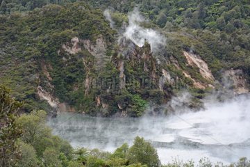 Waimangu Volcanic Valley - North Island New Zealand