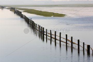 Lairoux communal marshes flooded in winter - France