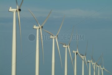 Wind mill farm South Australia