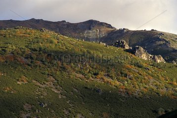 Landschaft der Culebra Sierra in Spanien
