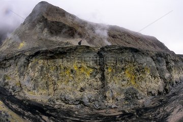 Sulfur formation at White Island Volcano Island North