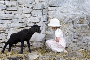 Girl watching a lamb before a sheepfold France