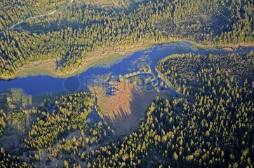 Aerial view of the Frasne bog lake in the Haut-Doubs France