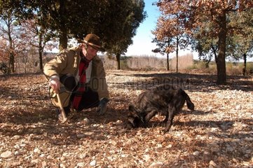 Suche nach Trüffeln mit Hund - Provence