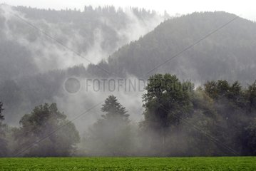 Nebel nach dem Regen auf den Hügeln. Maiche bezweifelt Frankreich