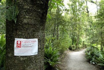Poster warning against poison in forest New Zealand