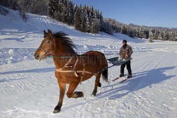 Skier pulled by horse Vaud Switzerland