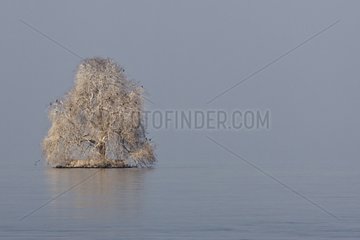 Island in winter Peilz Lake Geneva Switzerland