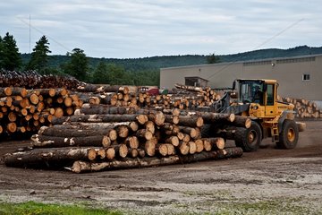 Logging in New Hampshire USA