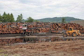 Logging in New Hampshire USA