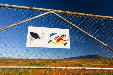 Drawing 'Beware Ostriches' on a fence RSA