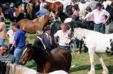 Clare  Spancill Hill  foire aux chevaux