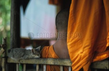 Schlafkätzchen auf einer Bank gegen einen Kambodscha -Mönch