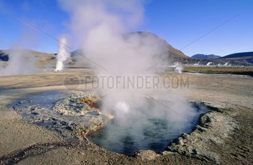 San Pedro de Atacama  geysers del Tatio