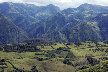 Cazarpamba agricultural area Imbabura Ecuador